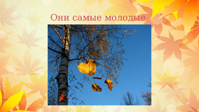 Они самые молодые 