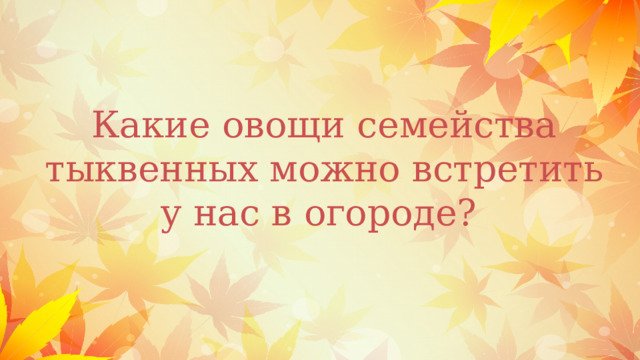 Какие овощи семейства тыквенных можно встретить у нас в огороде? 