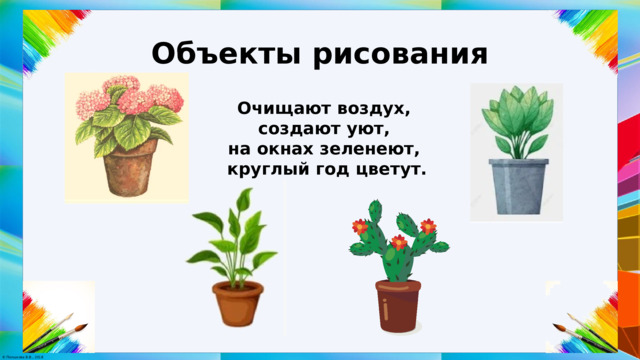 Объекты рисования Очищают воздух, создают уют, на окнах зеленеют, круглый год цветут. 