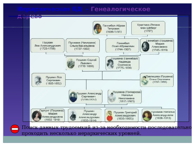 Иерархическая БД - Генеалогическое дерево Поиск данных трудоемкий из-за необходимости последовательно проходить несколько иерархических уровней.   