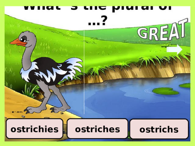 What ‘s the plural of …? ostriches ostrichies ostrichs 