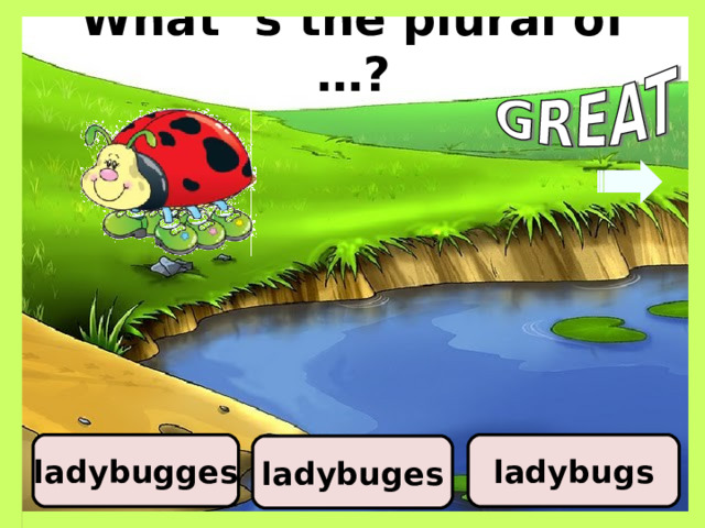 What ‘s the plural of …? ladybugs ladybugges ladybuges 