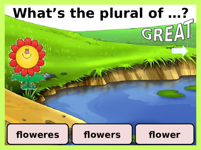 What’s the plural of …? floweres flowers flower 