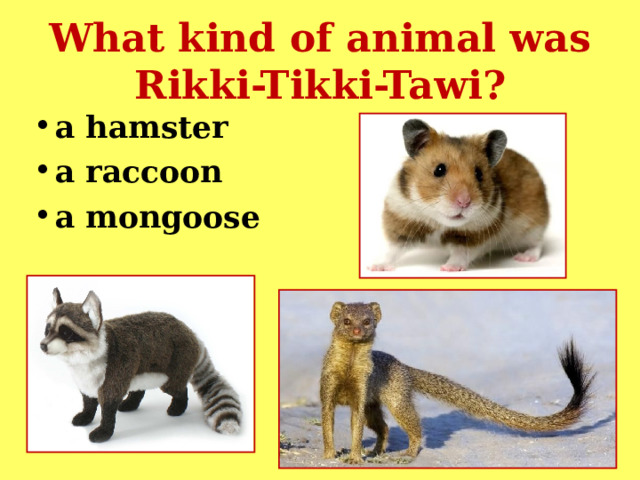 What kind of animal was Rikki-Tikki-Tawi? a hamster   a raccoon a mongoose  