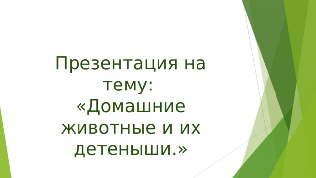 Презентация на тему:  «Домашние животные и их детеныши.»   