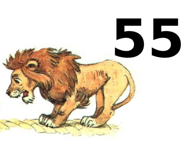 55