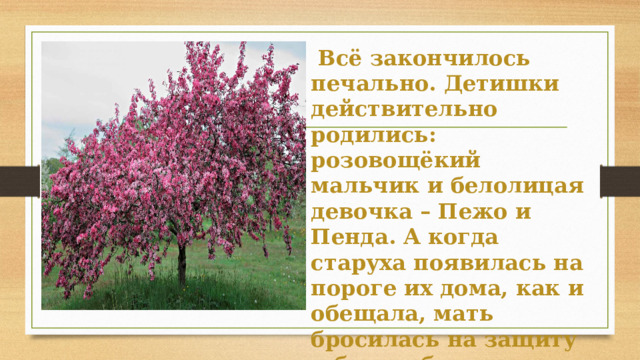   Всё закончилось печально. Детишки действительно родились: розовощёкий мальчик и белолицая девочка – Пежо и Пенда. А когда старуха появилась на пороге их дома, как и обещала, мать бросилась на защиту и была обращена колдуньей в цветущее дерево. 