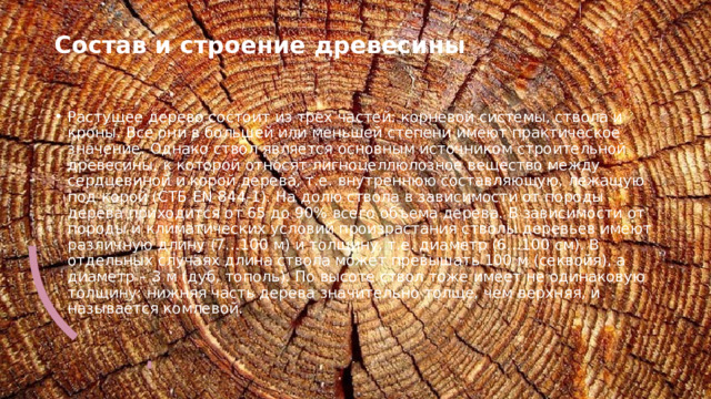 Состав и строение древесины   Растущее дерево состоит из трех частей: корневой системы, ствола и кроны. Все они в большей или меньшей степени имеют практическое значение. Однако ствол является основным источником строительной древесины, к которой относят лигноцеллюлозное вещество между сердцевиной и корой дерева, т.е. внутреннюю составляющую, лежащую под корой (СТБ EN 844-1). На долю ствола в зависимости от породы дерева приходится от 65 до 90% всего объема дерева. В зависимости от породы и климатических условий произрастания стволы деревьев имеют различную длину (7…100 м) и толщину, т.е. диаметр (6…100 см). В отдельных случаях длина ствола может превышать 100 м (секвойя), а диаметр – 3 м (дуб, тополь). По высоте ствол тоже имеет не одинаковую толщину: нижняя часть дерева значительно толще, чем верхняя, и называется комлевой. 