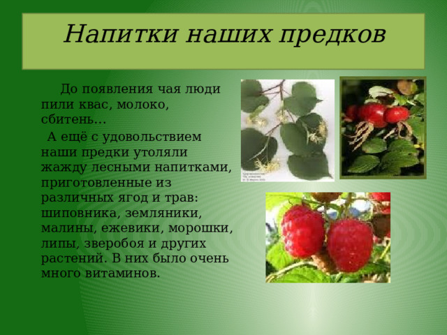 Напитки наших предков     До появления чая люди пили  квас, молоко, сбитень…  А ещё с удовольствием наши предки утоляли жажду лесными напитками, приготовленные из различных ягод и трав: шиповника, земляники, малины, ежевики, морошки, липы, зверобоя и других растений. В них было очень много витаминов. 