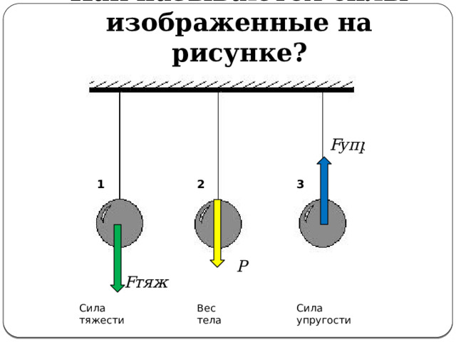 Как называются силы изображенные на рисунке? 1 2 3 Сила тяжести Сила упругости Вес тела 