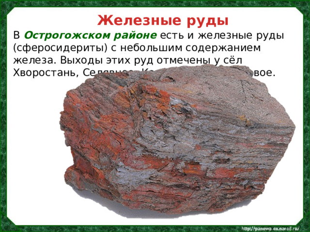 Железные руды В Острогожском районе есть и железные руды (сферосидериты) с небольшим содержанием железа. Выходы этих руд отмечены у сёл Хворостань, Селявное, Коротояк и Сторожевое. 