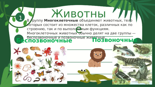 Животные 1 В группу  Многоклеточные  объединяют животных, тело которых состоит из множества клеток, различных как по строению, так и по выполняемым функциям. Многоклеточных животных обычно делят на две группы — беспозвоночные и позвоночные животные. Позвоночные Беспозвоночные 