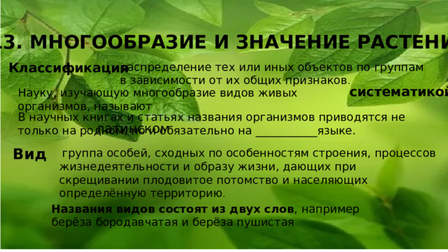 13. МНОГООБРАЗИЕ И ЗНАЧЕНИЕ РАСТЕНИЙ Классификация распределение тех или иных объектов по группам в зависимости от их общих признаков . систематикой Науку, изучающую многообразие видов живых организмов, называют В научных книгах и статьях названия организмов приводятся не только на родном, но и обязательно на ___________языке. латинском Вид  группа особей, сходных по особенностям строения, процессов жизнедеятельности и образу жизни, дающих при скрещивании плодовитое потомство и населяющих определённую территорию . Названия видов состоят из двух слов , например берёза бородавчатая и берёза пушистая 