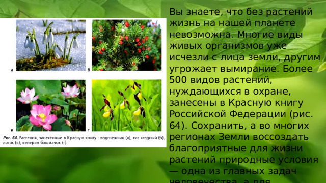 Вы знаете, что без растений жизнь на нашей планете невозможна. Многие виды живых организмов уже исчезли с лица земли, другим угрожает вымирание. Более 500 видов растений, нуждающихся в охране, занесены в Красную книгу Российской Федерации (рис. 64). Сохранить, а во многих регионах Земли воссоздать благоприятные для жизни растений природные условия — одна из главных задач человечества, а для рациональной хозяйственной деятельности необходимы биологические знания 