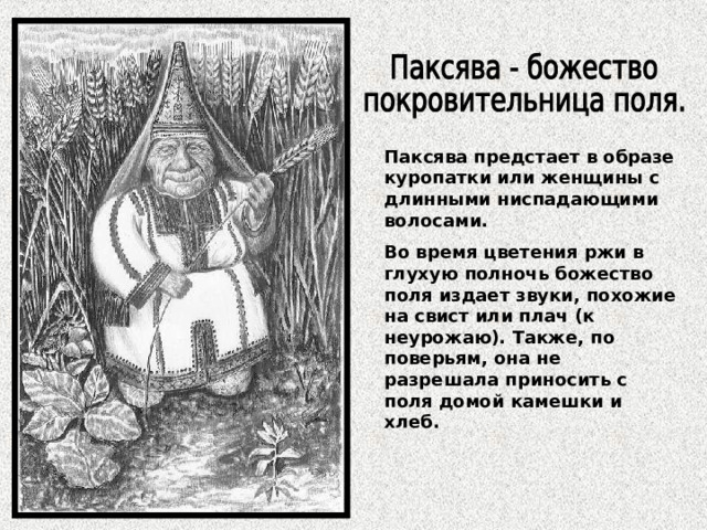 Паксява предстает в образе куропатки или женщины с длинными ниспадающими волосами. Во время цветения ржи в глухую полночь божество поля издает звуки, похожие на свист или плач (к неурожаю). Также, по поверьям, она не разрешала приносить с поля домой камешки и хлеб. 