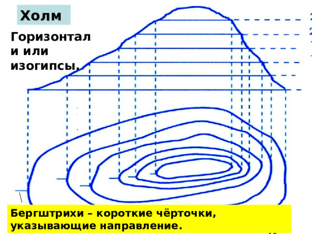 Холм Горизонтали (изогипсы) Горизонтали или изогипсы. Бергштрихи – короткие чёрточки, указывающие направление. 