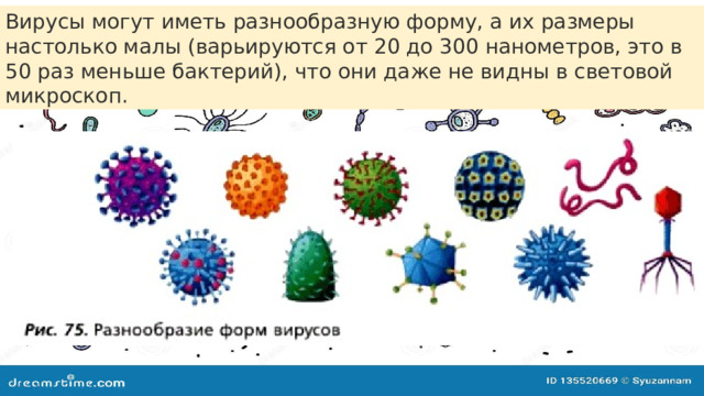 Вирусы могут иметь разнообразную форму, а их размеры настолько малы (варьируются от 20 до 300 нанометров, это в 50 раз меньше бактерий), что они даже не видны в световой микроскоп. 