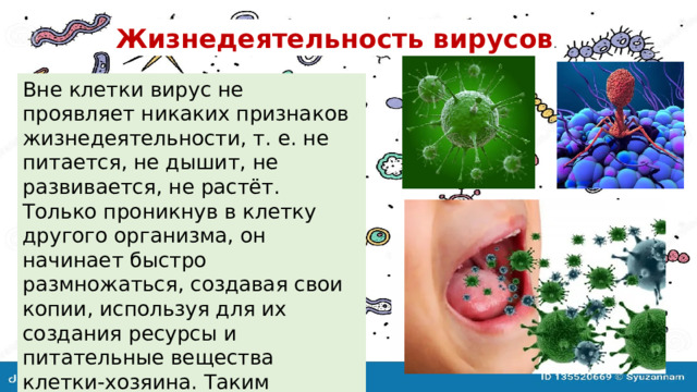Жизнедеятельность вирусов . Вне клетки вирус не проявляет никаких признаков жизнедеятельности, т. е. не питается, не дышит, не развивается, не растёт. Только проникнув в клетку другого организма, он начинает быстро размножаться, создавая свои копии, используя для их создания ресурсы и питательные вещества клетки-хозяина. Таким образом, вирусы являются внутриклеточными паразитами . 