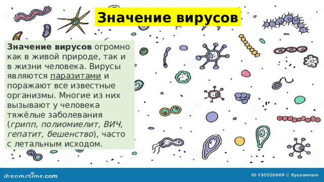 Значение вирусов Значение вирусов  огромно как в живой природе, так и в жизни человека. Вирусы являются паразитами и поражают все известные организмы. Многие из них вызывают у человека тяжёлые заболевания ( грипп, полиомиелит, ВИЧ, гепатит, бешенство ), часто с летальным исходом. 