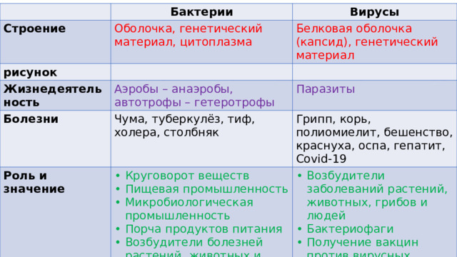 Строение Бактерии рисунок Оболочка, генетический материал, цитоплазма Вирусы Белковая оболочка (капсид), генетический материал Жизнедеятельность Болезни Аэробы – анаэробы, автотрофы – гетеротрофы Роль и значение Паразиты Чума, туберкулёз, тиф, холера, столбняк Грипп, корь, полиомиелит, бешенство, краснуха, оспа, гепатит, Covid-19 Круговорот веществ Пищевая промышленность Микробиологическая промышленность Порча продуктов питания Возбудители болезней растений, животных и людей Возбудители заболеваний растений, животных, грибов и людей Бактериофаги Получение вакцин против вирусных заболеваний 