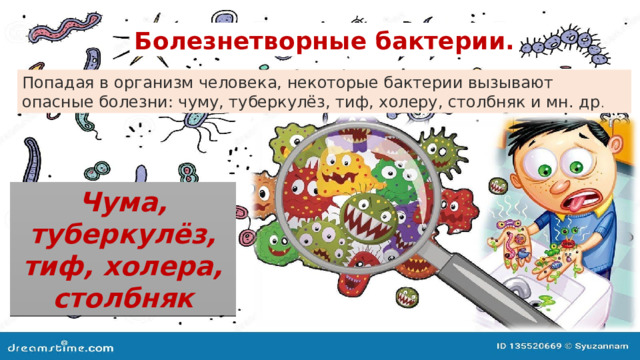 Болезнетворные бактерии. Попадая в организм человека, некоторые бактерии вызывают опасные болезни: чуму, туберкулёз, тиф, холеру, столбняк и мн. др . Чума, туберкулёз, тиф, холера, столбняк 