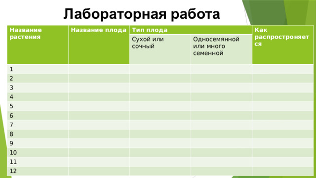 Название растения Название плода Тип плода 1 Сухой или сочный 2 Как распростроняется Односемянной или много семенной 3 4 5 6 7 8 9 10 11 12 