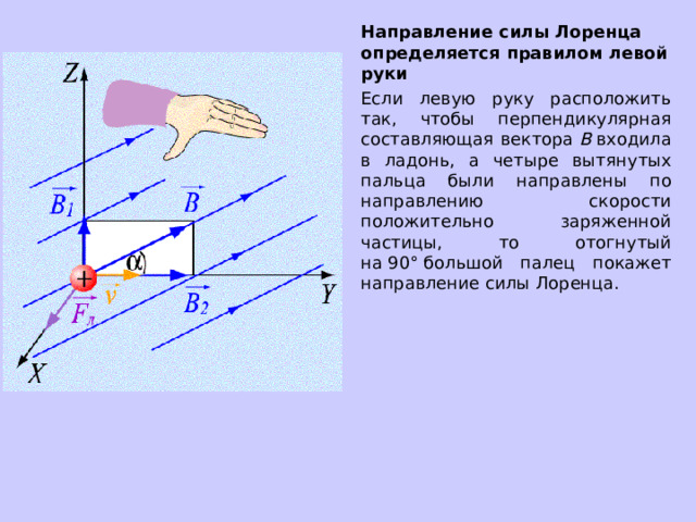 Направление силы Лоренца определяется правилом левой руки Если левую руку расположить так, чтобы перпендикулярная составляющая вектора  В  входила в ладонь, а четыре вытянутых пальца были направлены по направлению скорости положительно заряженной частицы, то отогнутый на 90° большой палец покажет направление силы Лоренца.   