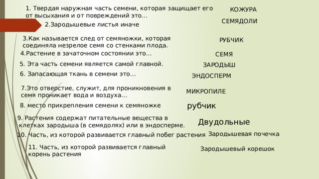 1. Твердая наружная часть семени, которая защищает его от высыхания и от повреждений это… КОЖУРА СЕМЯДОЛИ 2.Зародышевые листья иначе 3.Как называется след от семяножки, которая соединяла незрелое семя со стенками плода. РУБЧИК 4.Растение в зачаточном состоянии это… СЕМЯ 5. Эта часть семени является самой главной. ЗАРОДЫШ 6. Запасающая ткань в семени это… ЭНДОСПЕРМ 7.Это отверстие, служит, для проникновения в семя проникает вода и воздуха… МИКРОПИЛЕ рубчик 8. место прикрепления семени к семяножке 9. Растения содержат питательные вещества в  клетках зародыша (в семядолях) или в эндосперме. Двудольные Зародышевая почечка 10. Часть, из которой развивается главный побег растения 11. Часть, из которой развивается главный корень растения Зародышевый корешок 