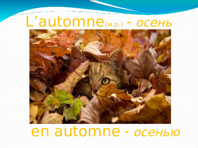 L’automne (м.р.)  - осень  en automne  - осенью  