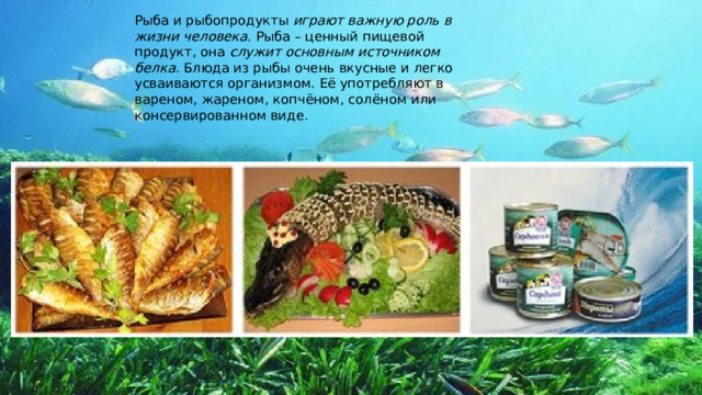 Рыба и рыбопродукты  играют важную роль в жизни человека . Рыба – ценный пищевой продукт, она  служит основным источником белка . Блюда из рыбы очень вкусные и легко усваиваются организмом. Её употребляют в вареном, жареном, копчёном, солёном или консервированном виде. 