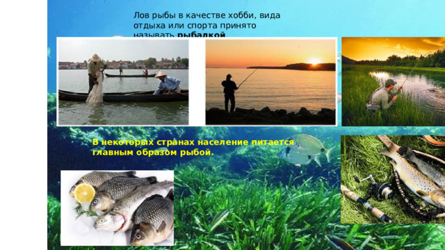 Лов рыбы в качестве хобби, вида отдыха или спорта принято называть  рыбалкой . В некоторых странах население питается главным образом рыбой. 