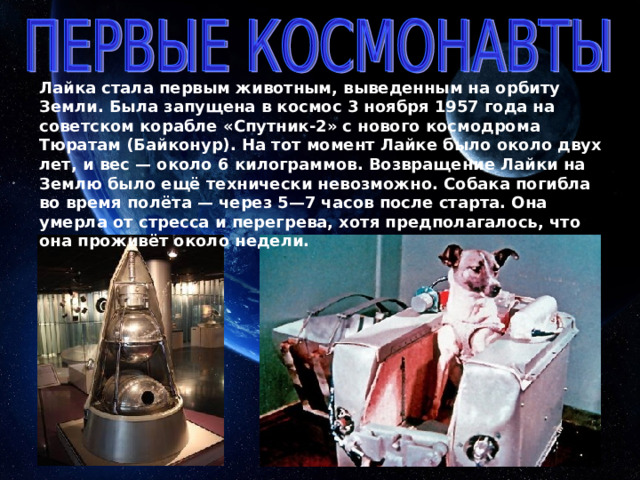 Лайка стала первым животным, выведенным на орбиту Земли. Была запущена в космос 3 ноября 1957 года на советском корабле «Спутник-2» с нового космодрома Тюратам (Байконур). На тот момент Лайке было около двух лет, и вес — около 6 килограммов. Возвращение Лайки на Землю было ещё технически невозможно. Собака погибла во время полёта — через 5—7 часов после старта. Она умерла от стресса и перегрева, хотя предполагалось, что она проживёт около недели.  