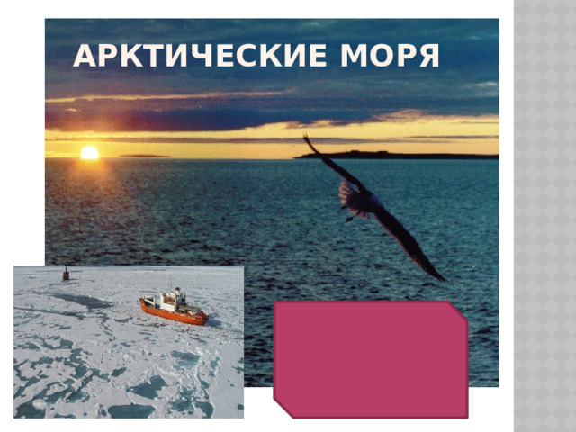 Арктические моря 