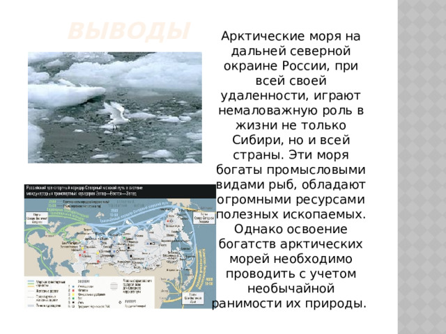 Арктические моря 9 класс география