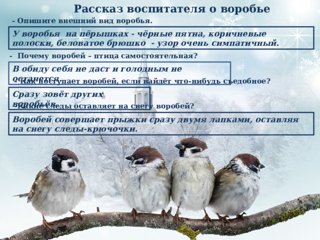 Рассказ воспитателя о воробье - Опишите внешний вид воробья.   У воробья на пёрышках - чёрные пятна, коричневые полоски, беловатое брюшко - узор очень симпатичный. - Почему воробей – птица самостоятельная? В обиду себя не даст и голодным не останется.  - Как поступает воробей, если найдёт что-нибудь съедобное? Сразу зовёт других воробьёв.  -Какие следы оставляет на снегу воробей? Воробей совершает прыжки сразу двумя лапками, оставляя на снегу следы-крючочки. 