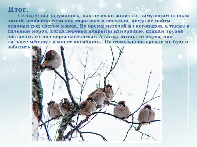 Итог.   Сегодня вы задумались, как нелегко живётся зимующим птицам зимой, особенно если она морозная и снежная, когда не найти птичкам под снегом корма. Во время метелей и снегопадов, а также в сильный мороз, когда деревья покрыты изморозью, птицам трудно доставать из-под коры насекомых. А когда птицы голодны, они сильнее мёрзнут и могут погибнуть. Поэтому мы по-прежнему будем заботиться о птицах и подкармливать их .  