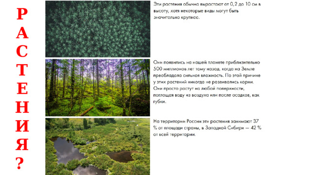 Р А С Т Е Н И Я ? 