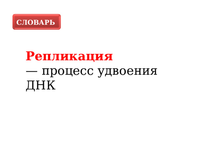 СЛОВАРЬ Репликация — процесс удвоения ДНК 