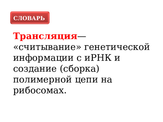 СЛОВАРЬ Трансляция — «считывание» генетической информации с иРНК и создание (сборка) полимерной цепи на рибосомах. 