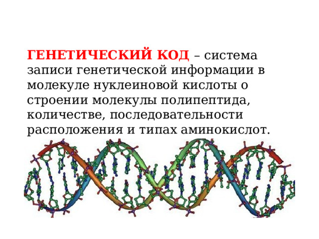 ГЕНЕТИЧЕСКИЙ КОД – система записи генетической информации в молекуле нуклеиновой кислоты о строении молекулы полипептида, количестве, последовательности расположения и типах аминокислот. 