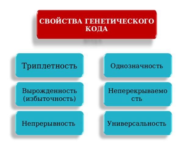 СВОЙСТВА ГЕНЕТИЧЕСКОГО КОДА Триплетность Однозначность  Вырожденность (избыточность) Неперекрываемость Непрерывность  Универсальность  