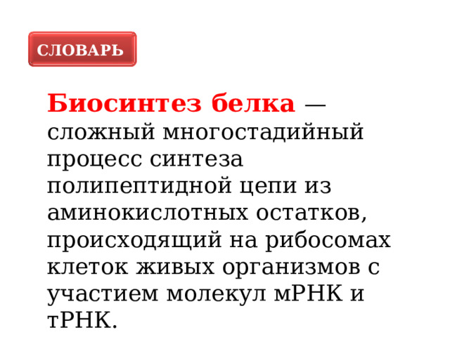 СЛОВАРЬ Биосинтез белка — сложный многостадийный процесс синтеза полипептидной цепи из аминокислотных остатков, происходящий на рибосомах клеток живых организмов с участием молекул мРНК и тРНК. 