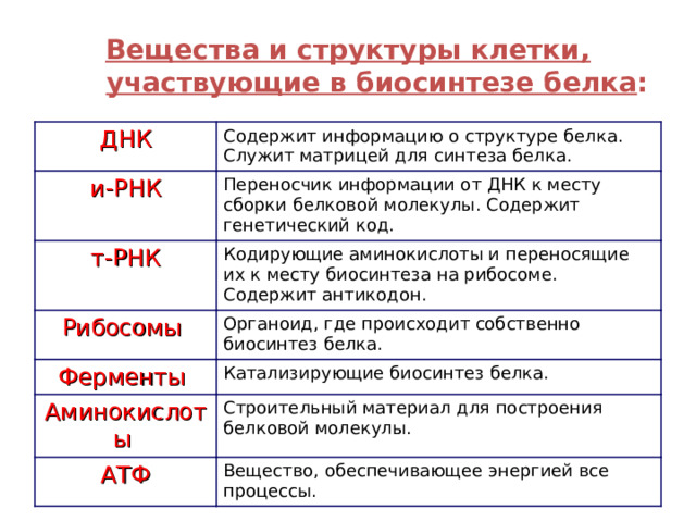 Вещества и структуры клетки, участвующие в биосинтезе белка : ДНК Содержит информацию о структуре белка. Служит матрицей для синтеза белка. и-РНК Переносчик информации от ДНК к месту сборки белковой молекулы. Содержит генетический код. т-РНК Кодирующие аминокислоты и переносящие их к месту биосинтеза на рибосоме. Содержит антикодон. Рибосомы Органоид, где происходит собственно биосинтез белка. Ферменты Катализирующие биосинтез белка. Аминокислоты Строительный материал для построения белковой молекулы. АТФ Вещество, обеспечивающее энергией все процессы. 