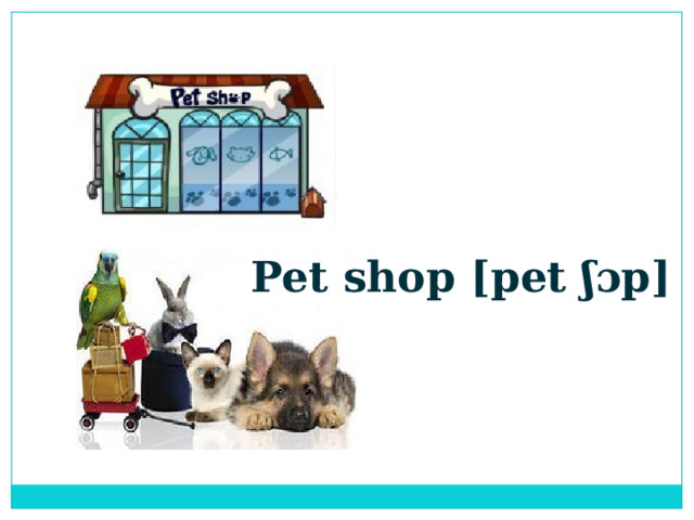 Pet shop [pet ʃɔp] 