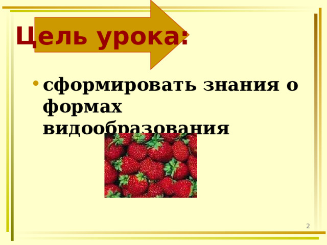 Цель урока: сформировать знания о формах видообразования  