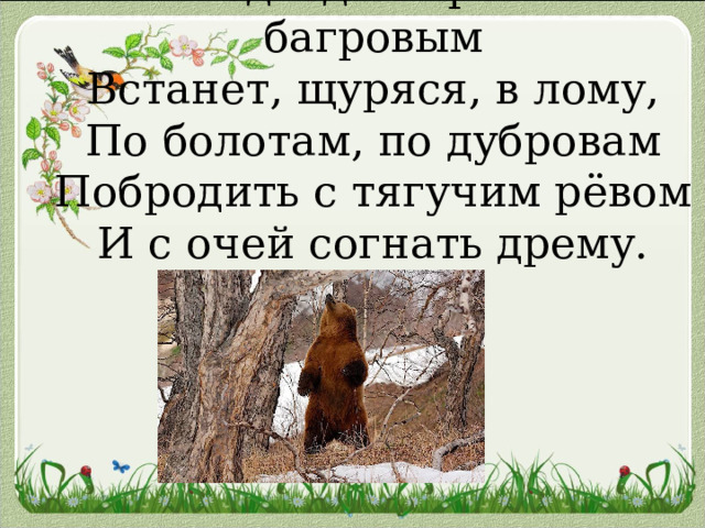 И медведь с хребтом багровым  Встанет, щуряся, в лому,  По болотам, по дубровам  Побродить с тягучим рёвом  И с очей согнать дрему. 