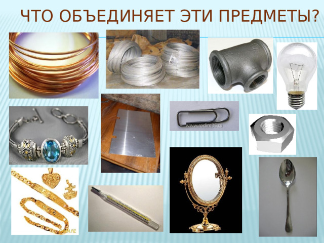 Что объединяет эти предметы? 