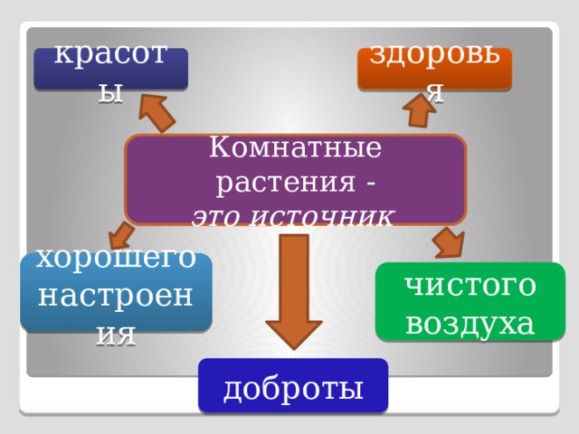 красоты здоровья Комнатные растения - это источник хорошего настроения чистого воздуха доброты 