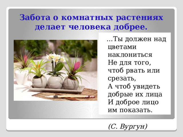 Забота о комнатных растениях делает человека добрее.  … Ты должен над цветами наклониться  Не для того, чтоб рвать или срезать,  А чтоб увидеть добрые их лица  И доброе лицо им показать.  (С. Вургун) 