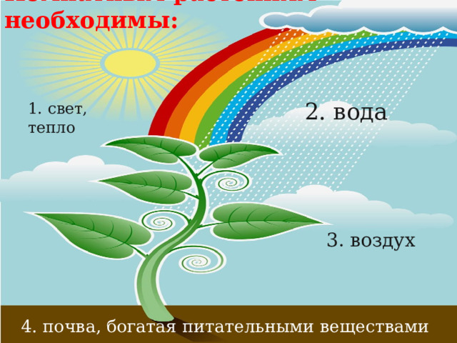 Комнатным растениям необходимы: 2. вода 1. свет, тепло   3. воздух  4. почва, богатая питательными веществами 